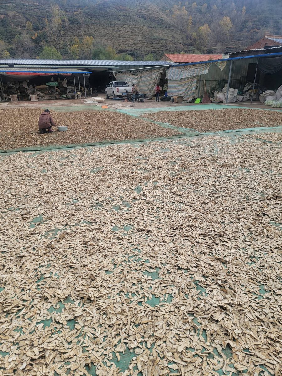 天成中药材合作社晾晒场全景 - 渭源会川金滩工业园区